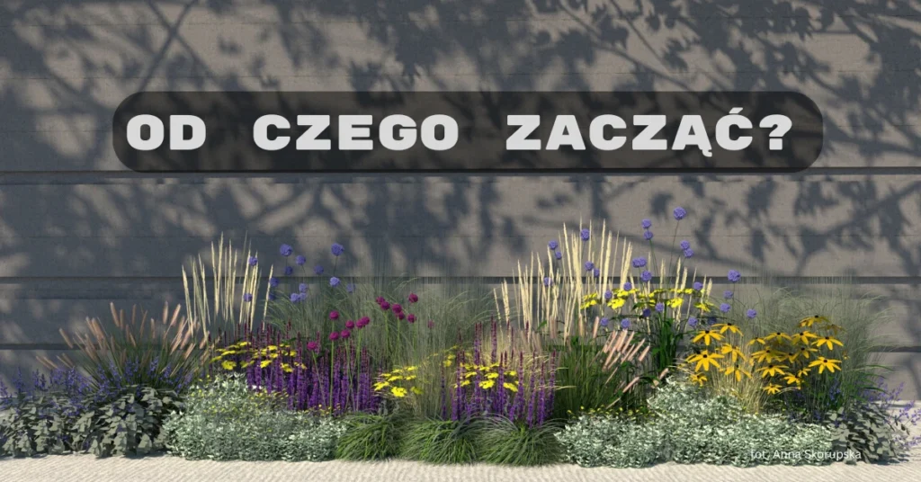 byliny trawy ozodbne kompozycja roślin w stylu śródziemnomorskim lawenda