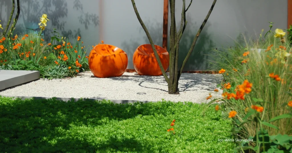 minimalistyczny projekt ogrodu w nowoczesnym stylu